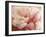 Sweet Flower I-Nicole Katano-Framed Photo