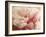 Sweet Flower I-Nicole Katano-Framed Photo