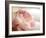 Sweet Flower II-Nicole Katano-Framed Photo