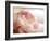 Sweet Flower II-Nicole Katano-Framed Photo