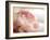 Sweet Flower II-Nicole Katano-Framed Photo