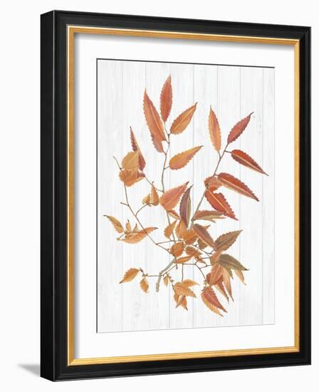 Sweet Foliage I-Dianne Miller-Framed Art Print