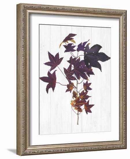 Sweet Foliage II-Dianne Miller-Framed Art Print