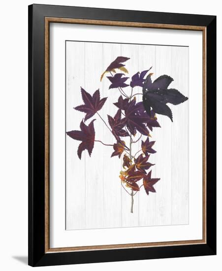 Sweet Foliage II-Dianne Miller-Framed Art Print