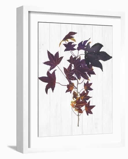 Sweet Foliage II-Dianne Miller-Framed Art Print