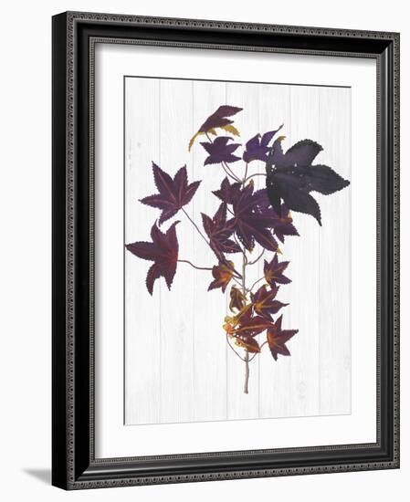 Sweet Foliage II-Dianne Miller-Framed Art Print