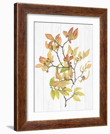 Sweet Foliage III-Dianne Miller-Framed Art Print