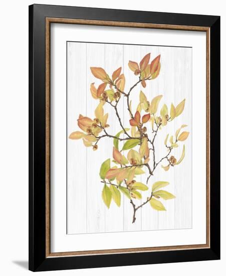 Sweet Foliage III-Dianne Miller-Framed Art Print