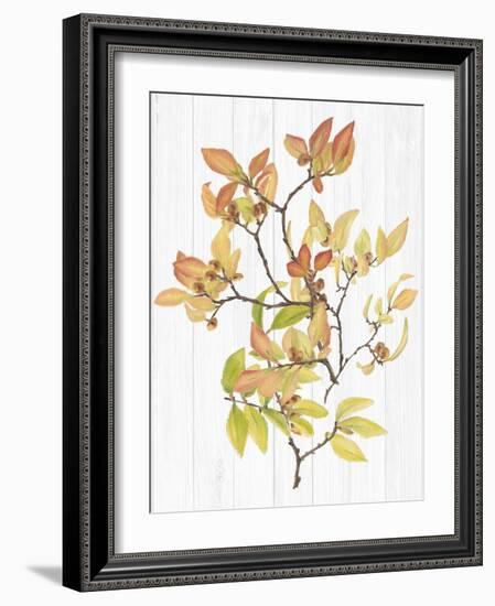 Sweet Foliage III-Dianne Miller-Framed Art Print