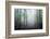 Sweet Forest-Philippe Manguin-Framed Photographic Print