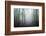 Sweet Forest-Philippe Manguin-Framed Photographic Print