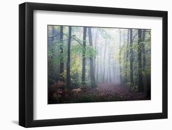 Sweet Forest-Philippe Manguin-Framed Photographic Print