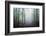 Sweet Forest-Philippe Manguin-Framed Photographic Print