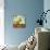 Sweet Green Bird-Blenda Tyvoll-Premium Giclee Print displayed on a wall