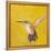 Sweet Hummingbird II-Mehmet Altug-Framed Stretched Canvas