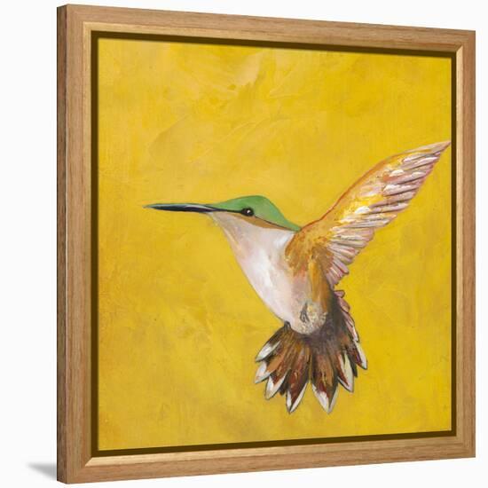 Sweet Hummingbird II-Mehmet Altug-Framed Stretched Canvas