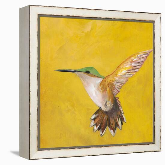 Sweet Hummingbird II-Mehmet Altug-Framed Stretched Canvas