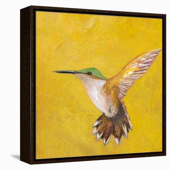 Sweet Hummingbird II-Mehmet Altug-Framed Stretched Canvas