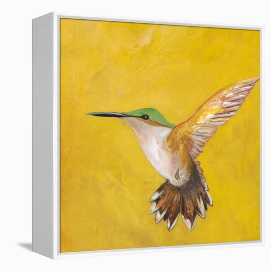 Sweet Hummingbird II-Mehmet Altug-Framed Stretched Canvas