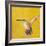 Sweet Hummingbird II-Mehmet Altug-Framed Art Print