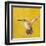 Sweet Hummingbird II-Mehmet Altug-Framed Art Print