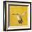 Sweet Hummingbird II-Mehmet Altug-Framed Art Print