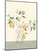 Sweet Lemonade-Isabelle Z-Mounted Art Print