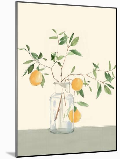Sweet Lemonade-Isabelle Z-Mounted Art Print