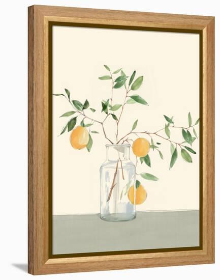 Sweet Lemonade-Isabelle Z-Framed Stretched Canvas