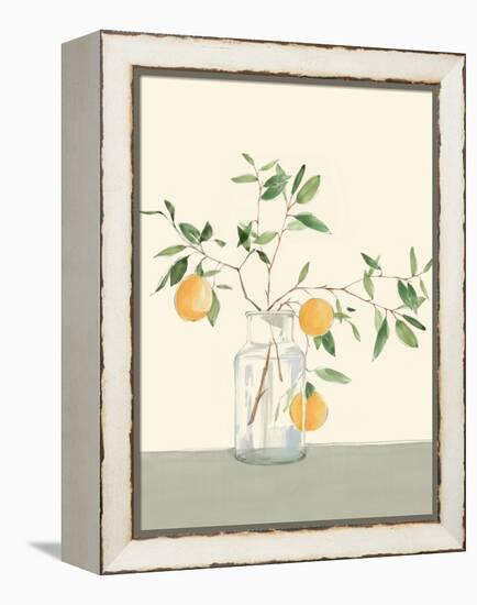 Sweet Lemonade-Isabelle Z-Framed Stretched Canvas