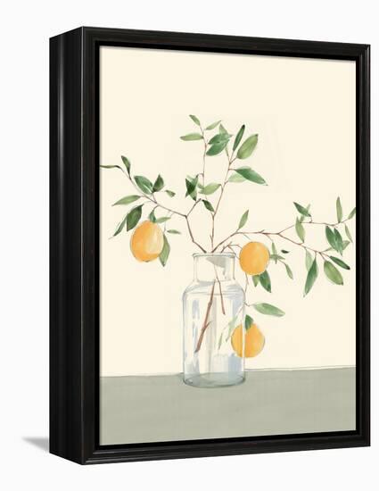 Sweet Lemonade-Isabelle Z-Framed Stretched Canvas