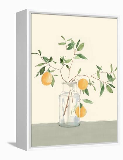 Sweet Lemonade-Isabelle Z-Framed Stretched Canvas