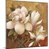 Sweet Magnolia I-Elaine Vollherbst-Lane-Mounted Art Print