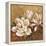 Sweet Magnolia II-Elaine Vollherbst-Lane-Framed Stretched Canvas