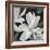 Sweet Magnolia-Farrell Douglass-Framed Giclee Print