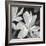 Sweet Magnolia-Farrell Douglass-Framed Giclee Print