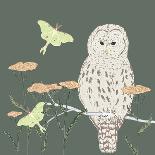 Barred Owl Luna Moth Night-Sweet Melody Designs-Art Print