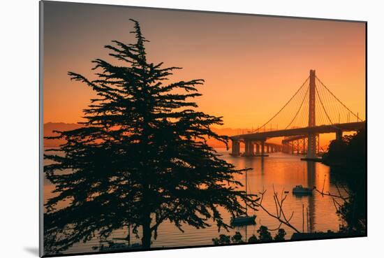 Sweet Morning Light at Oakland Bay Bridge, East Bay-Vincent James-Mounted Photographic Print