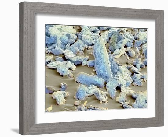 Sweet'N Low Sweetener, SEM-Thomas Deerinck-Framed Photographic Print