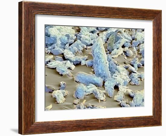 Sweet'N Low Sweetener, SEM-Thomas Deerinck-Framed Photographic Print