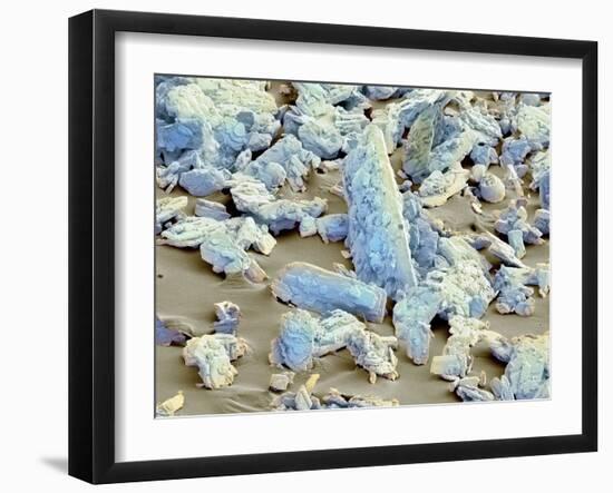 Sweet'N Low Sweetener, SEM-Thomas Deerinck-Framed Photographic Print