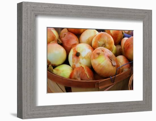 Sweet Onions at a Farmer's in Savannah, Georgia, USA-Joanne Wells-Framed Photographic Print