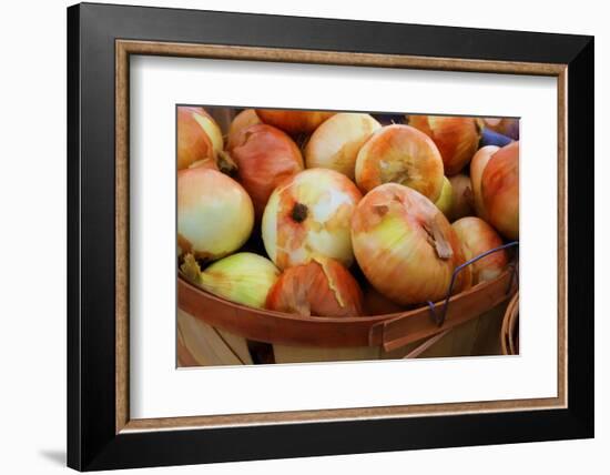 Sweet Onions at a Farmer's in Savannah, Georgia, USA-Joanne Wells-Framed Photographic Print