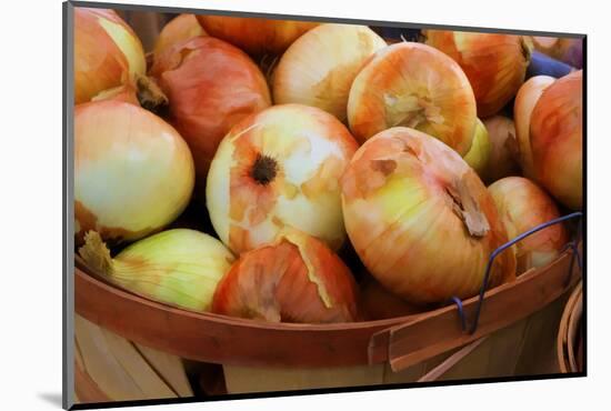 Sweet Onions at a Farmer's in Savannah, Georgia, USA-Joanne Wells-Mounted Photographic Print