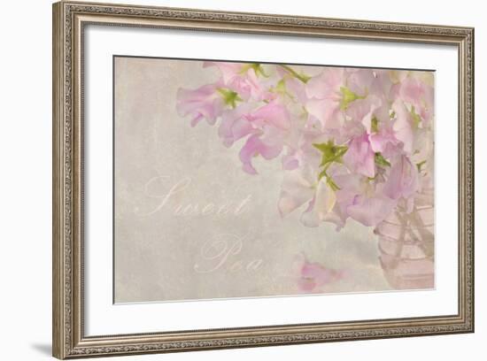 Sweet Pea-Cora Niele-Framed Photographic Print