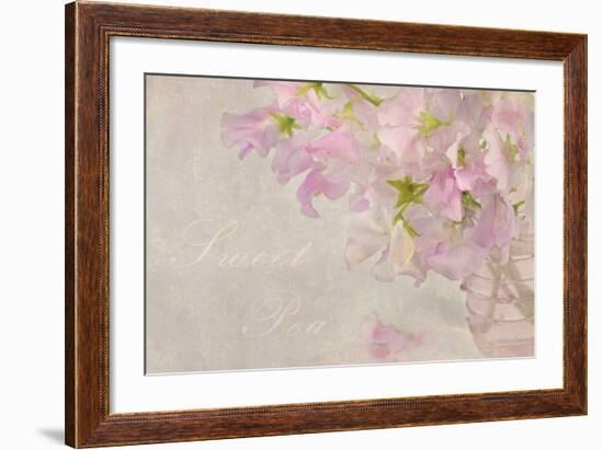 Sweet Pea-Cora Niele-Framed Photographic Print