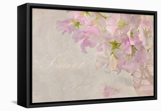 Sweet Pea-Cora Niele-Framed Premier Image Canvas