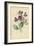 Sweet Pea-Frederick Edward Hulme-Framed Giclee Print