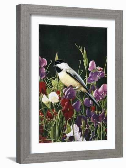 Sweet Peas and Chickadee-William Vanderdasson-Framed Giclee Print