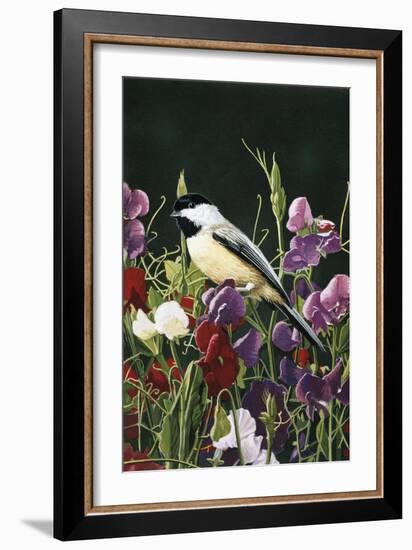 Sweet Peas and Chickadee-William Vanderdasson-Framed Giclee Print